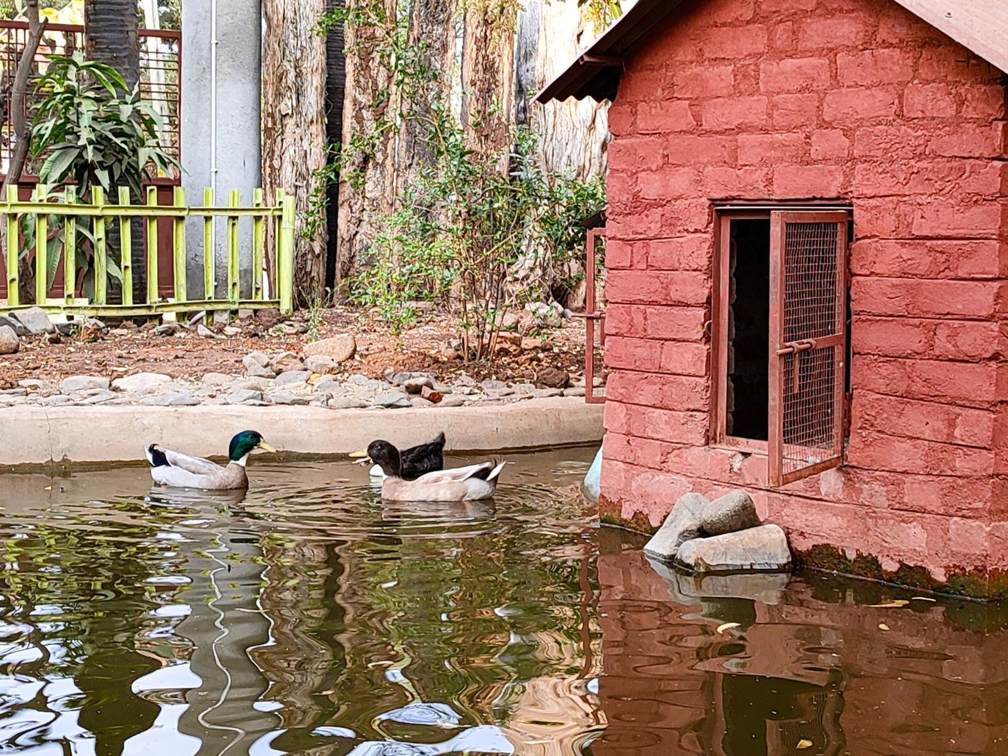 Van Vagdo Resort Rajpipla Exterior photo