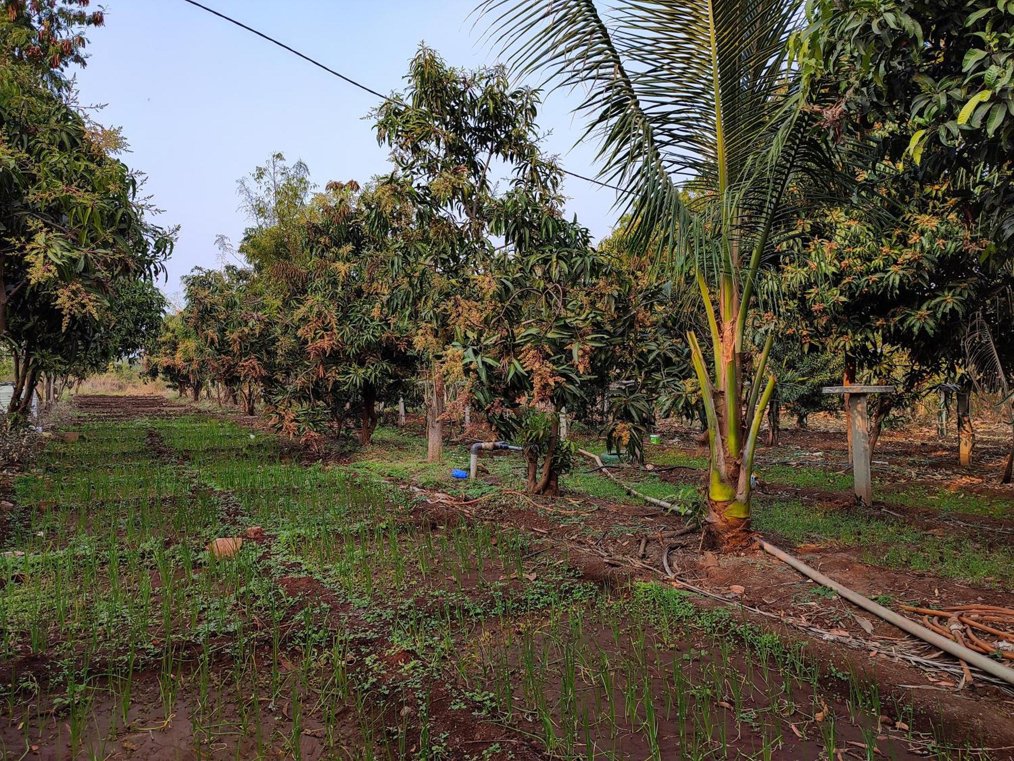 Van Vagdo Resort Rajpipla Exterior photo