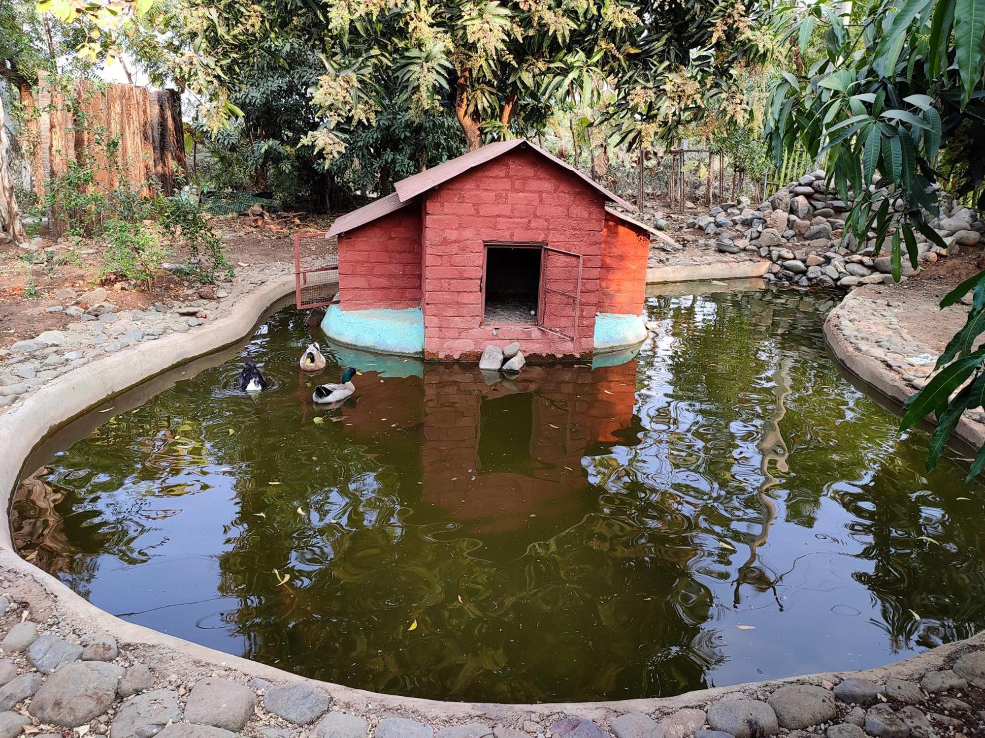 Van Vagdo Resort Rajpipla Exterior photo